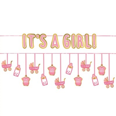 It&#39;s A Girl Double Banner Multi-Pack