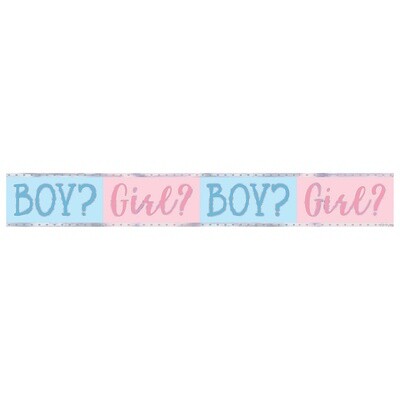 Pink or Blue? Foil Banner