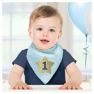 1st Birthday Boy Bib