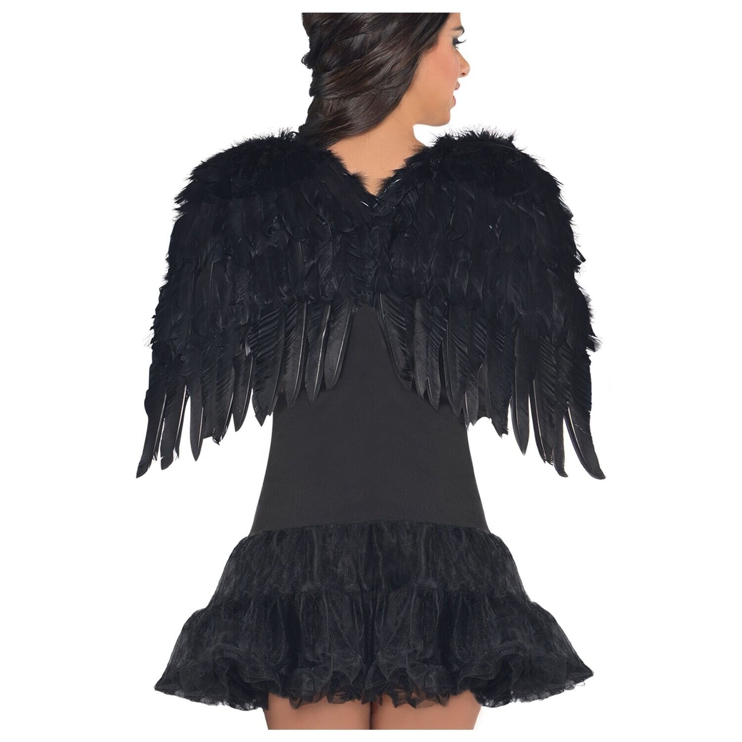 Wings-Feather-Black-16&#39;&#39; x 22&#39;&#39;