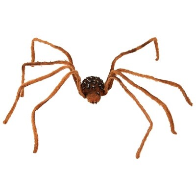Spider w/ Babies