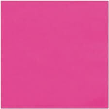 Napkins 20pc Bright Pink 15 3/4 X 15 3/4&quot;