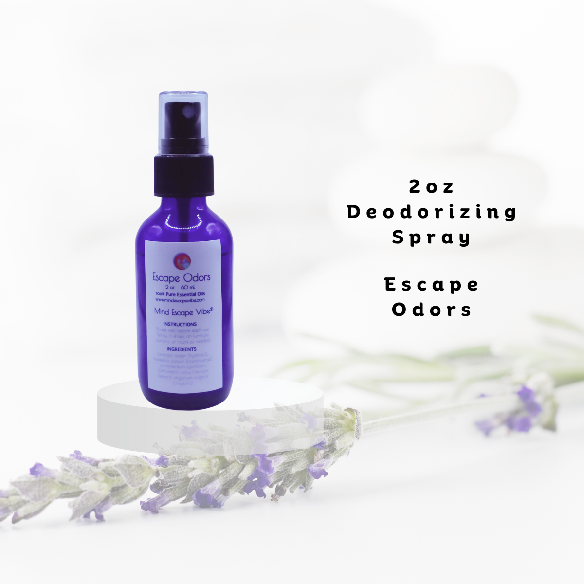 Fresh Vibes Air Purifying Deodorizing Kit