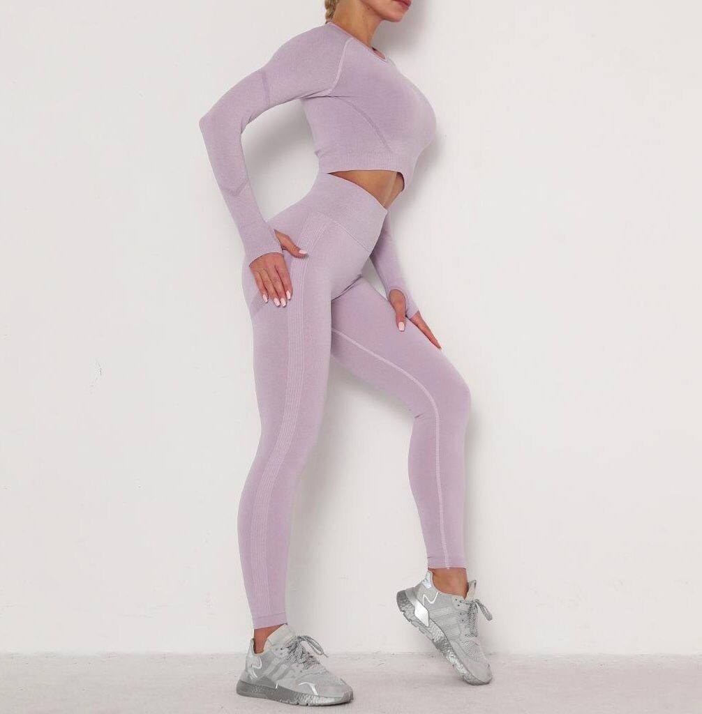 Seamless 2 Piece Activewear Set