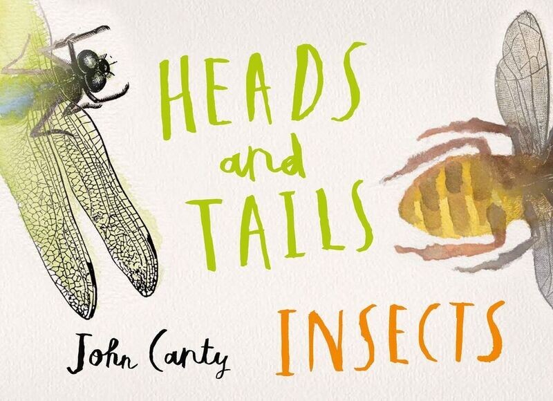 Heads And Tails Insects
