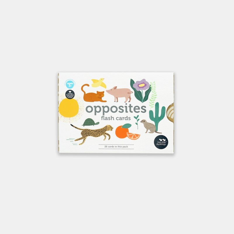 Two Little Ducklings  Opposites flash cards -26 pack