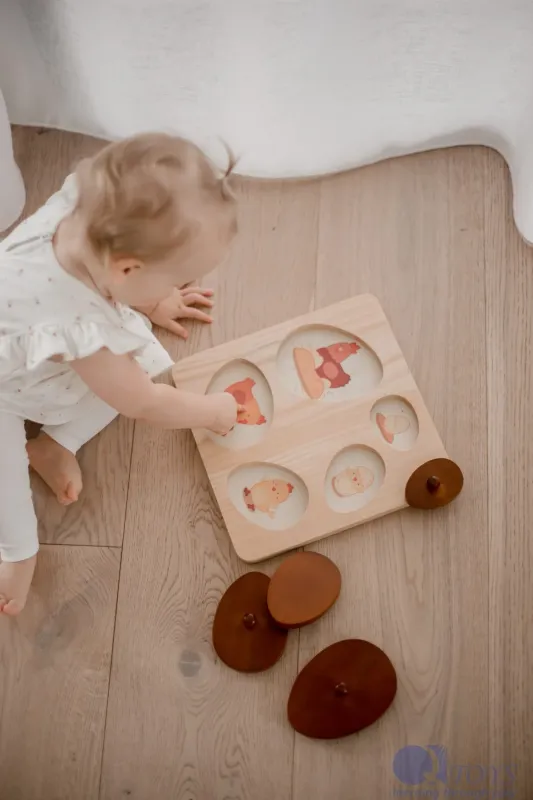 QToys Hen Life Circle puzzle