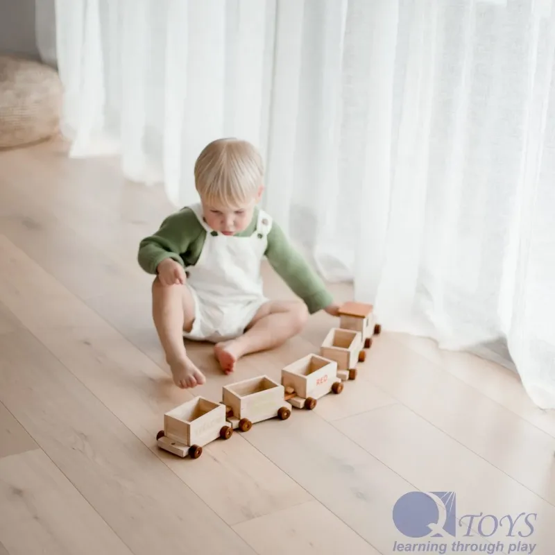 QToys Sorting Train and Containers Set 