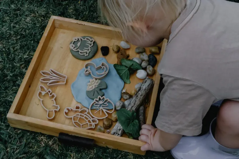 Pond Life cutter set