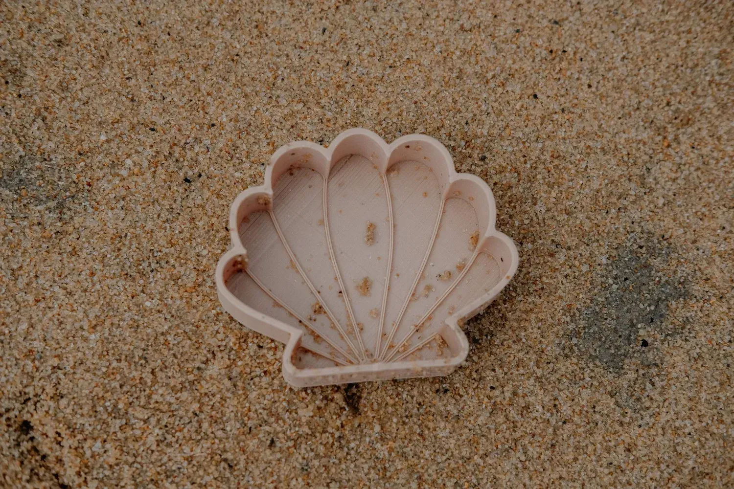Seashell Mould