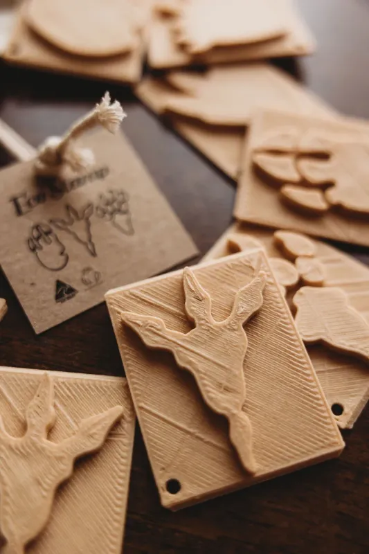 Dinosaur footprint stamp set