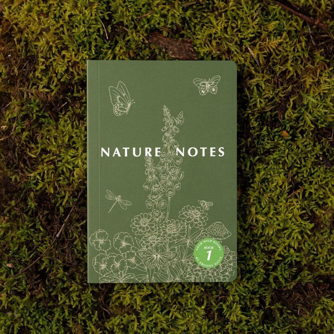 Nature Notes 1 Nature Notes 1