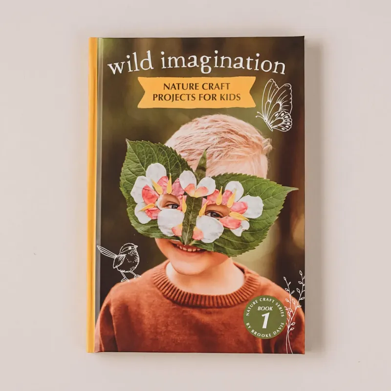 Wild Imagination book