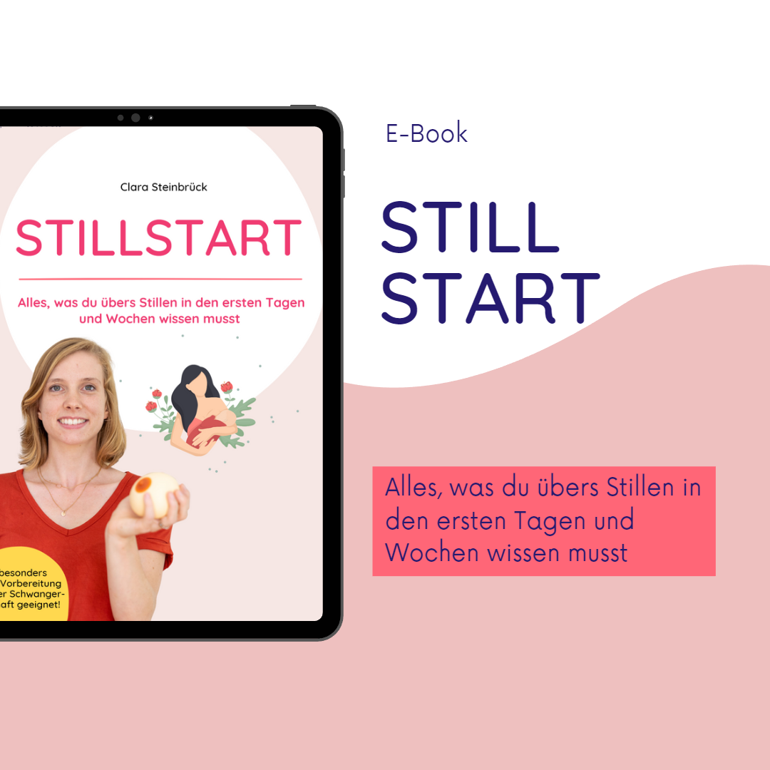 Stillstart (E-Book)