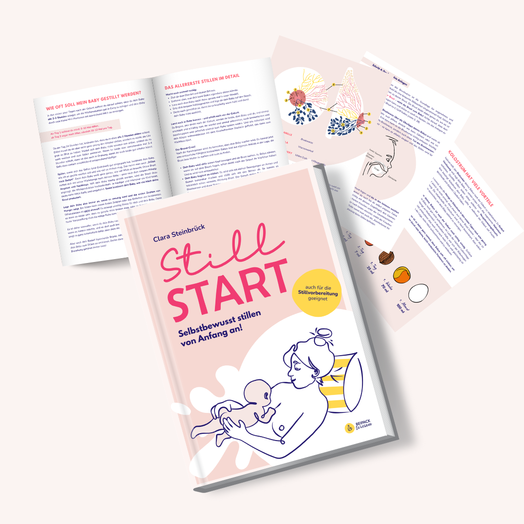 Stillstart (Buch)