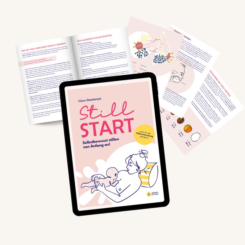 Stillstart (E-Book) Stillstart (E-Book)