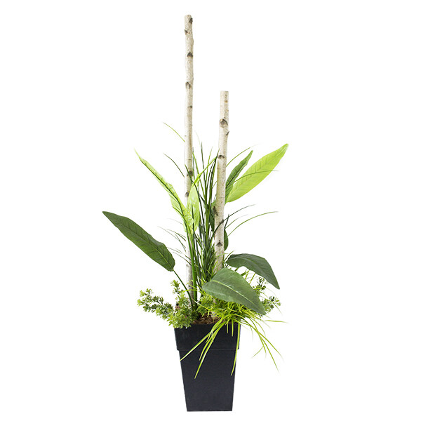 Potted arrangement with birch branches and bird of paradise - ARREXTBOU Potted arrangement with birch branches and bird of paradise - ARREXTBOU
