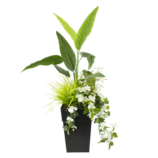 Potted arrangement with bird of paradise and small purple flowers Potted arrangement with bird of paradise and small purple flowers