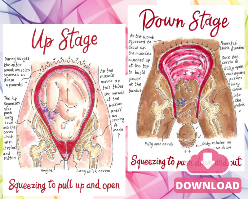 Up and Down Stages of Birth Hypnobirthing A3 Teaching Tools