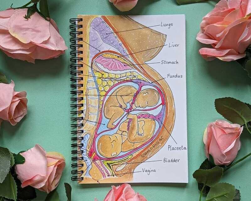 Pregnancy Anatomy Illustrations Doula Midwife Notebook