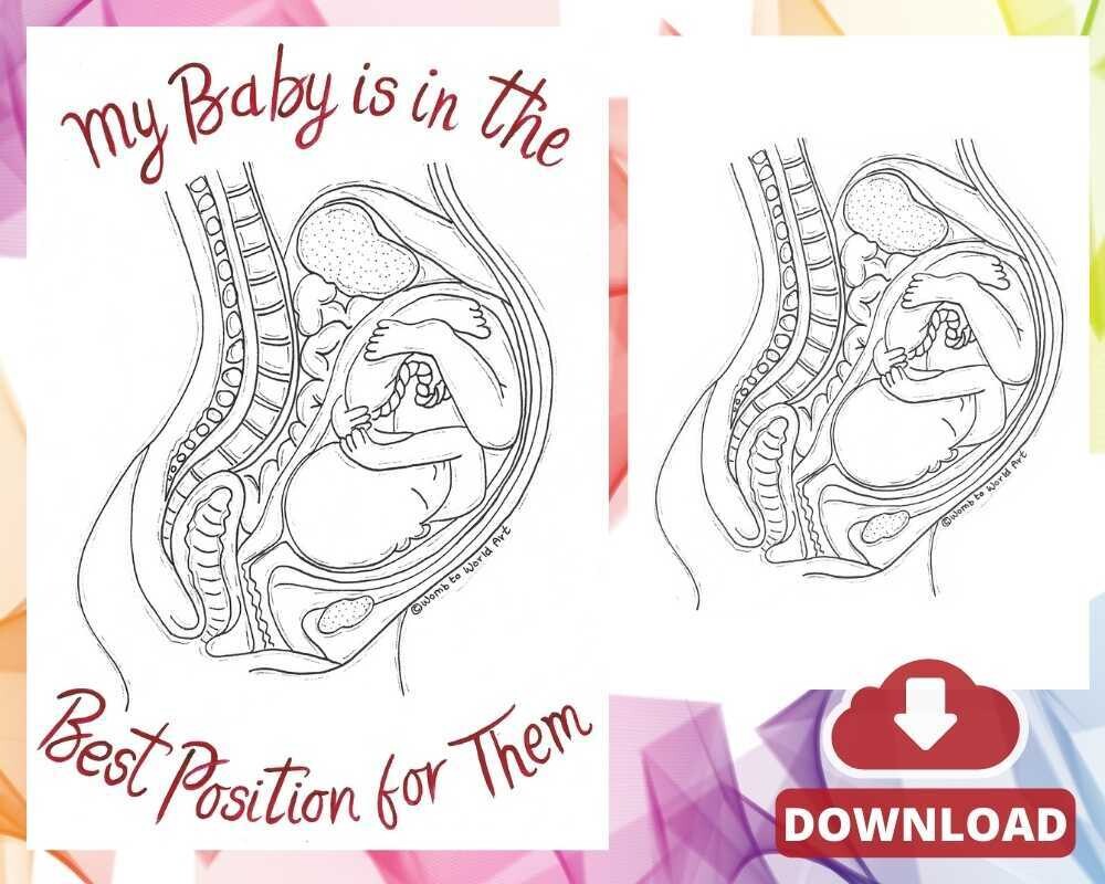 Ideal Position Pregnancy Anatomy A4 Colouring Page