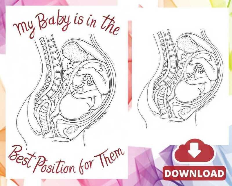 Ideal Position Pregnancy Anatomy A4 Colouring Page