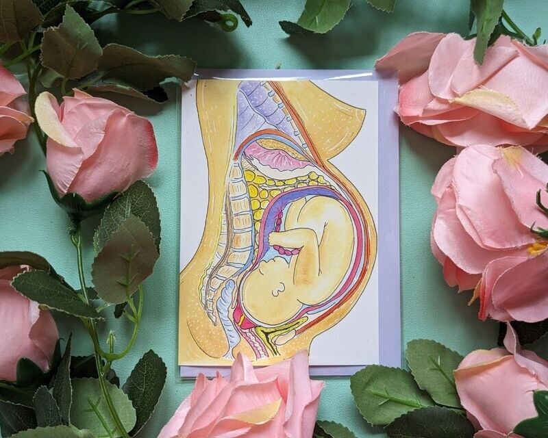 Pregnancy Anatomy A6 Greetings Card
