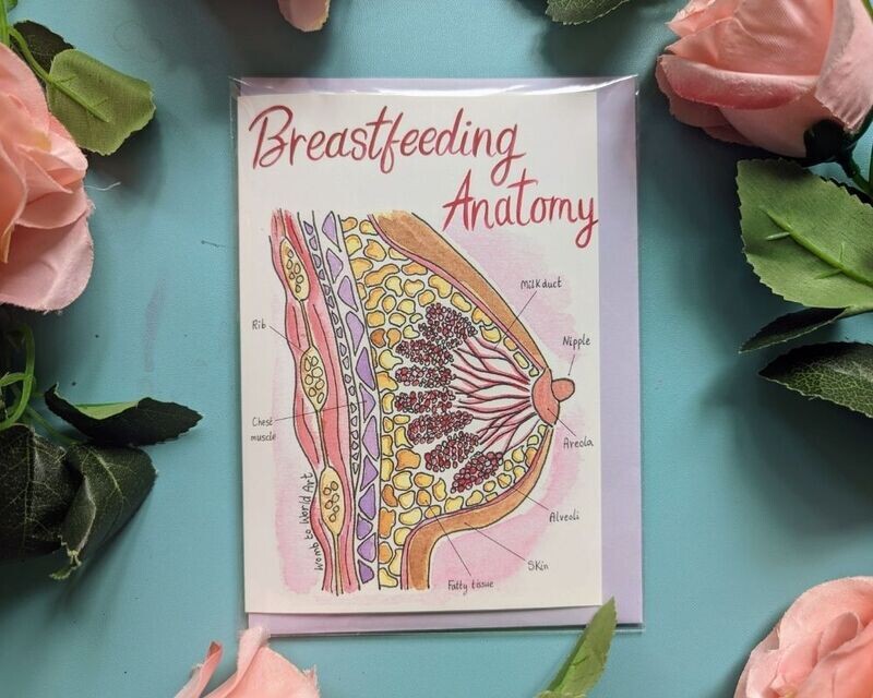 Breast Anatomy Breastfeeding A6 Greetings Card