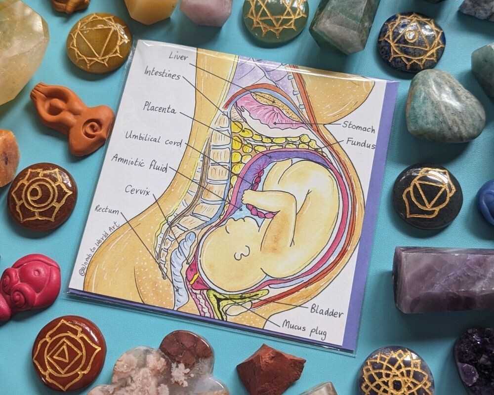 Pregnancy Anatomy Student Midwife Greetings Card