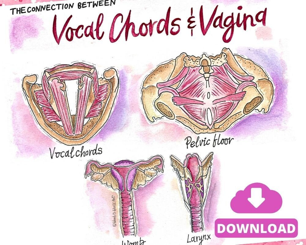 Vocal Chords Pelvic Floor A3 Illustrations
