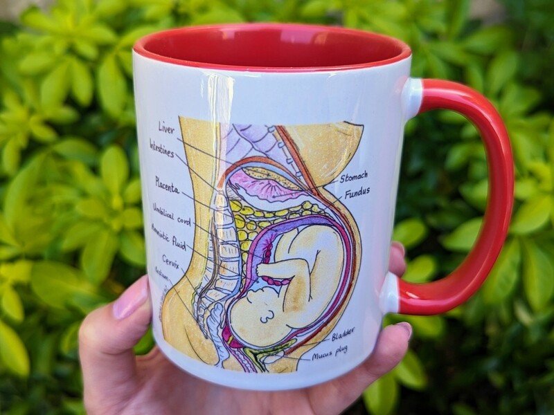 Pregnancy Anatomy Changes Midwife Mug
