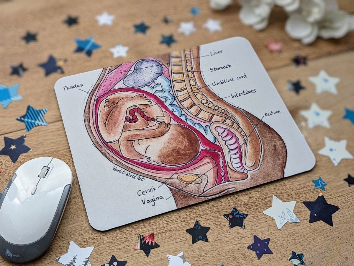 Pregnancy Anatomy Art Mouse Mat