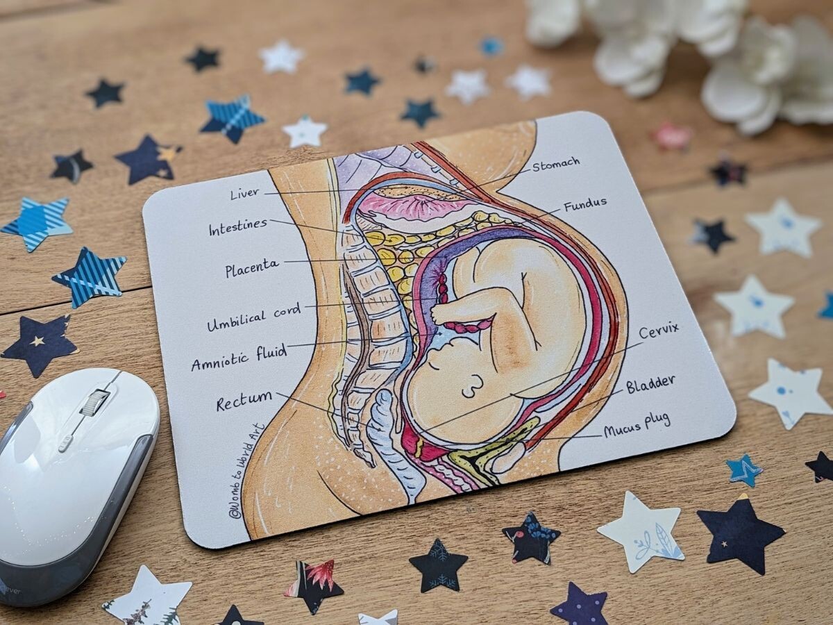 Pregnancy Anatomy Midwife Mouse Mat