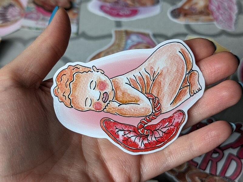 Baby and Placenta Art 8cm Pregnancy Sticker