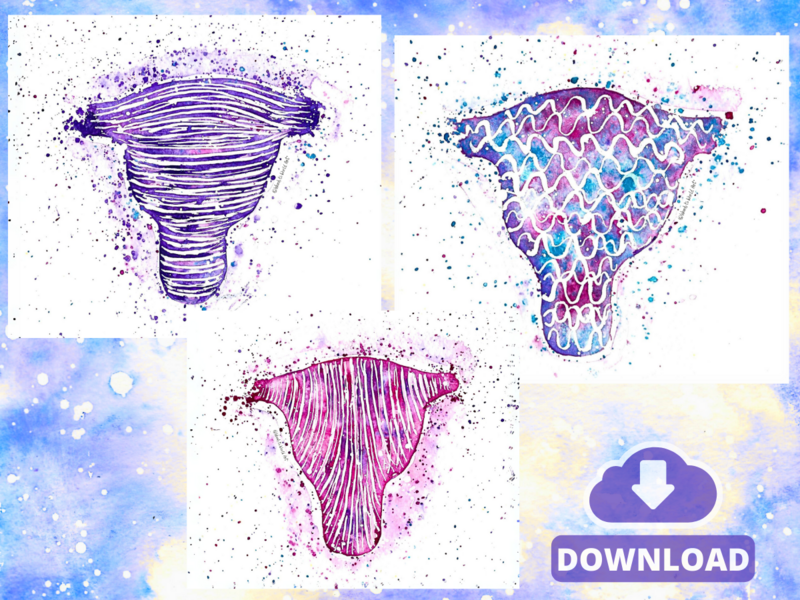 Layers of the Uterus Watercolour A3 PDF