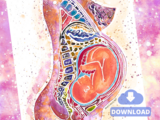 Pregnancy Anatomy Watercolour Art PDF