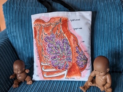 Breast Anatomy IBCLC Lactation Consultant Bag