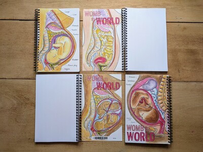 Pregnancy Illustrations Midwife Notebook