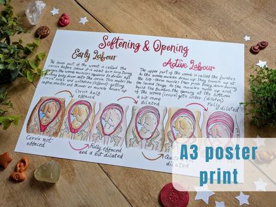 Soften and Open 250gsm A3 Print