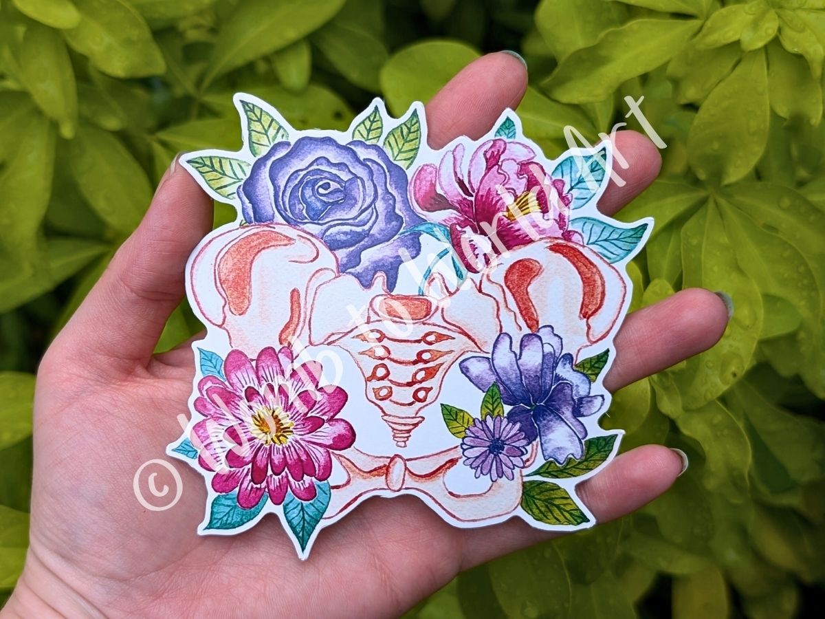 Pelvis Anatomy Art 10cm Sticker