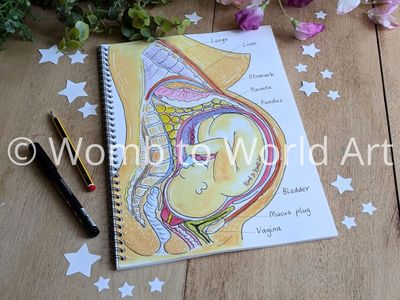 Pregnancy Anatomy Notebook, A4