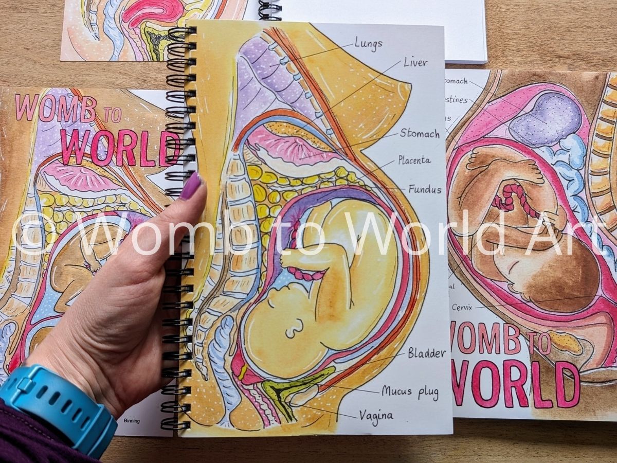 Pregnancy Anatomy Art A5 Notebook