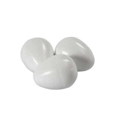 Big Plastic Eggs For Parakeets