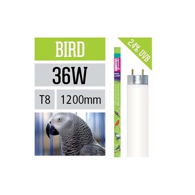 36w T8 Bird Lamp 1200mm