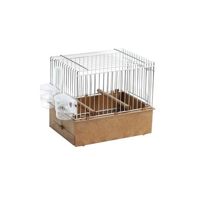 Songbird Cage