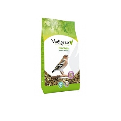 Finches Concours 1 Kg