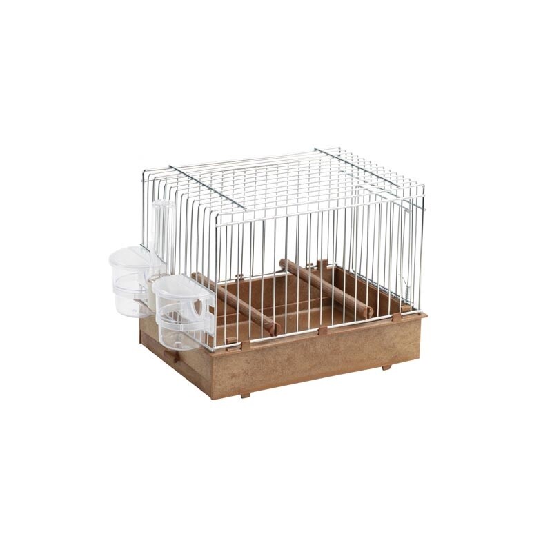 Song Bird Cage For Exposition