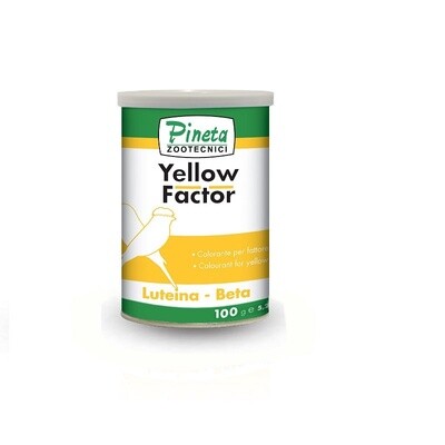 Yellow Factor 100g