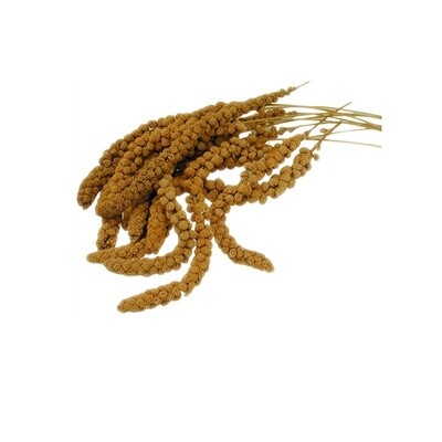 French Yellow Millet Sprays 1 Kg