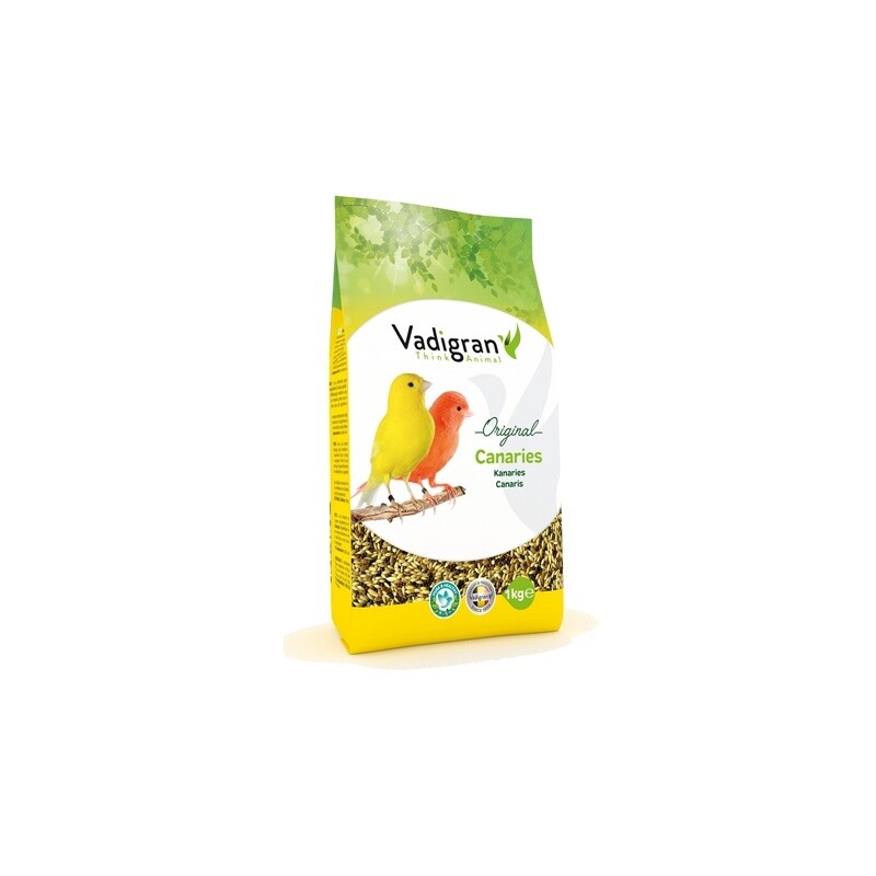 Canaries 1 Kg